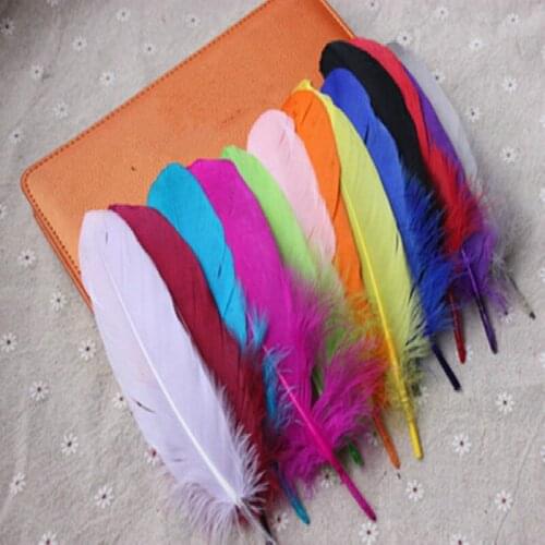 20 pcs /lot colours Per Set Goose Feathers 15-20cm 6-8 Inch Soft feather Accessory plume Home Celebrity Decoration
