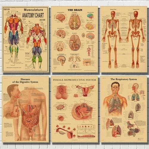 Human Anatomy Muscle System Kraft Paper painting Poster Art Print Human Body Picture Medical Education Home Decoration Painting