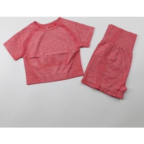 Yoga Outfits for Women 2 Piece Set Tracksuit High Waist Seamless Short Sleeve Workout Leggings Sportswear