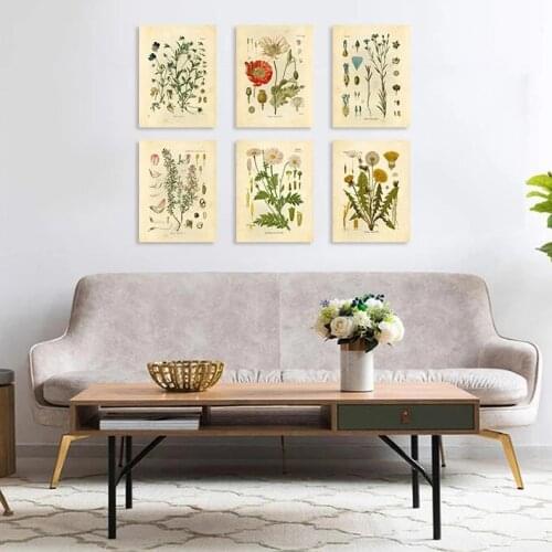Vintage Wild Plant Poster Botanical Flower Study Living Room Hanging Painting Peony Picture Aesthetic Room Decor Canvas Paintng