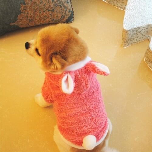 Winter Dog Clothes Cute Cartoon Dog Coat Hoodies Funny Pet Outfit Cat Chihuahua Yorkie Clothing Yorkshire Poodle Puppy Costumes