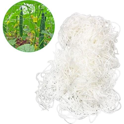 Polyester Lattice Plant Vegetables Climbing Net Plant Trellis Netting Support Vine Climbing Hydroponics Garden Net