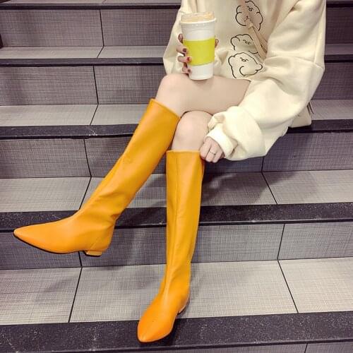 Womens Boots Pointed Toe Knee High Women Martin Riding Boot Female Chunky Heel Long Chelsea Botas MujerOver The Knee Woman Shoe