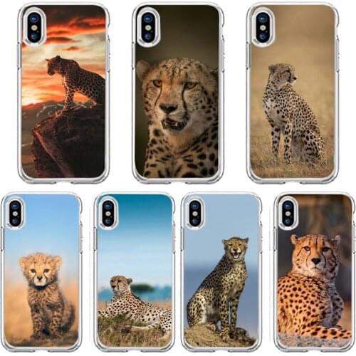 Animal cheetah leopard Phone Case Transparent soft For iphone 5 5s 5c se 6 6s 7 8 11 12 plus mini x xs xr pro max