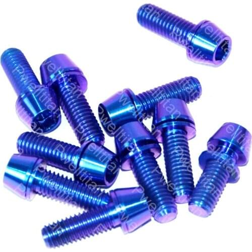 M6 Titanium Bolt M6x18mm Grade5 Ti Hex Head Washer Bolts for Racing Motorbike Bicycle Headset Parts DIY Accessories 10 PCS