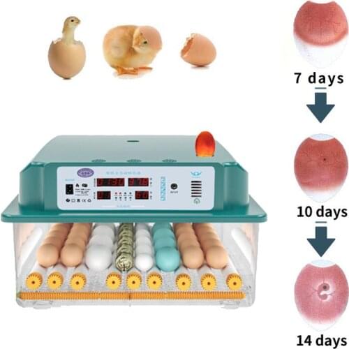 Incubator Egg Fully Automatic Brooder Hatchery Machine Turner Home Incubator Controller Farm Egg Incubator Chickens Bird Egg