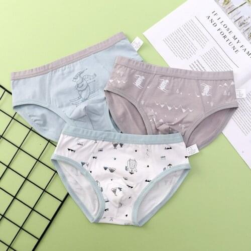Boys' Briefs Childrens Cotton Cartoon Boys' Boxers Childrens Underwear
