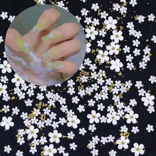 White Acrylic Flower Nail Art Decoration Mixed Size Rhinestones Gold Silver Gem Manicure Tool Accessories DIY Nails Design