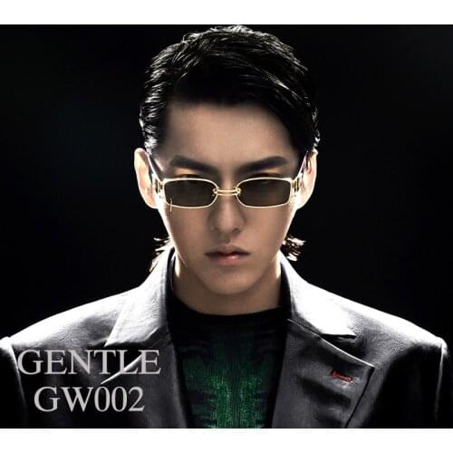 2020 new Fashion Cooperative style men women Sunglasses Gentle GW002 Acetate Polarized UV400 sunglasses women men