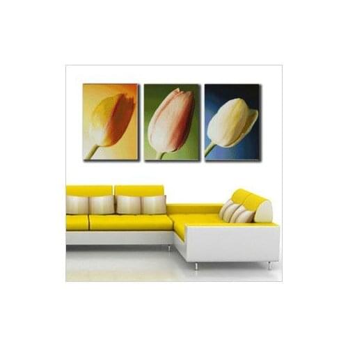 Embroidery Package Free Shipping Cross Stitch Kits Triple Attractive Tulip Flower 00061