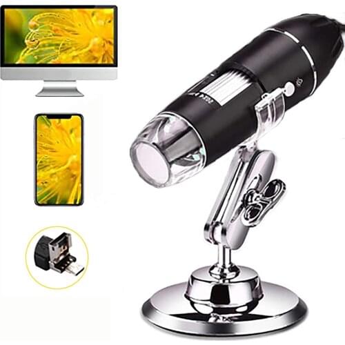 LPPCOLTD Running Shoes