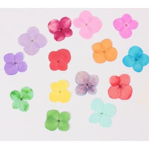 Polychrome Pressed Dried Flower Dry Leaves For DIY Crafts for Craft DIY Art Jewelry Making DIY Candle Making