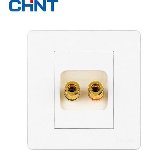CHINT Wall Switch Socket NEW2D Ivory White Large Panel Switch Two-hole Audio Socket