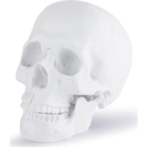 Human Head Skull Statue for Home Decor Resin Figurines Halloween Decoration Sculpture Medical Teaching Sketch Model Crafts 136