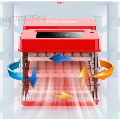 Incubator Full Automatic Small Intelligent Mini Incubator Chicken Duck Goose Egg Incubator Household Incubator