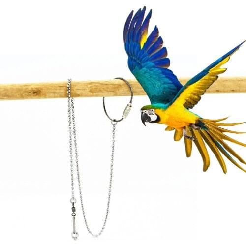 Pet Bird Pigeon Parrot Leg Ring Chain Outdoor Flying Training Anti-fly Anti-lost Activity Opening Foot Ring Bird Accessories