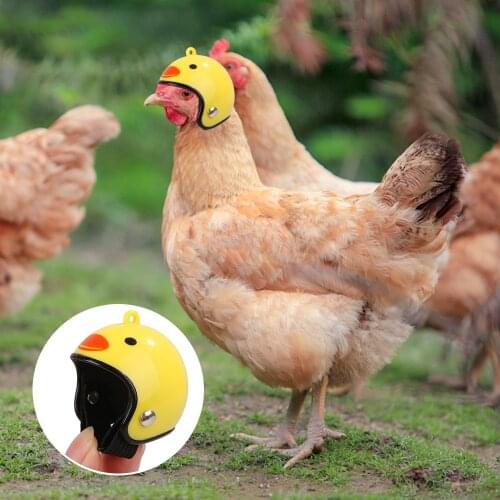 Creative Chicken Helmet Small Pet Hard Hat Bird Duck Cap Quail Hat Headgear Pet Chicken Helmet Bird Head Helmet Head Protector