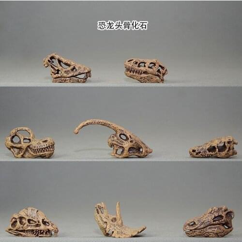 Small Triceratops dinosaur skull model Tyrannosaurus rex skull model, 8pcs/set