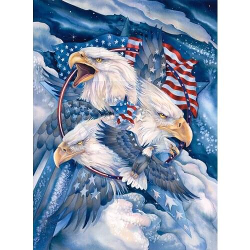 JMINE Div 5D american flag eagle clouds Full Diamond Painting cross stitch kits art High Quality Animal 3D paint by diamonds