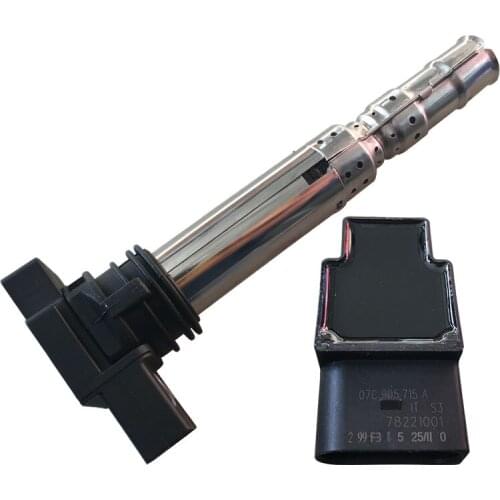 OEM Ignition Coils For A8L Phaeton Touareg Continent Flying Spur Continent GT W12 6.0 07C 905 715 A 07C 905 115 J 07C 905 100