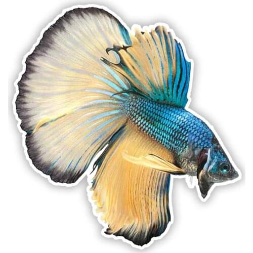 S50423# Various Sizes Personality PVC Decal Betta Fish V1 Waterproof Car Sticker on Motorcycle Laptop Decorative