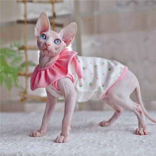 Sphynx Cat Sisters flower Cute Strawberry puff Sleeve Bow Hairless Cat Clothes Summer Thin Sleeveless Skirt