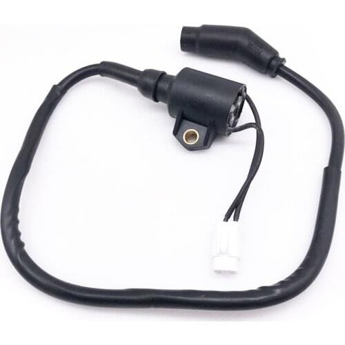 Ignition Coil Module For POLARIS HAWKEYE 2X4 4X4 2006-2011