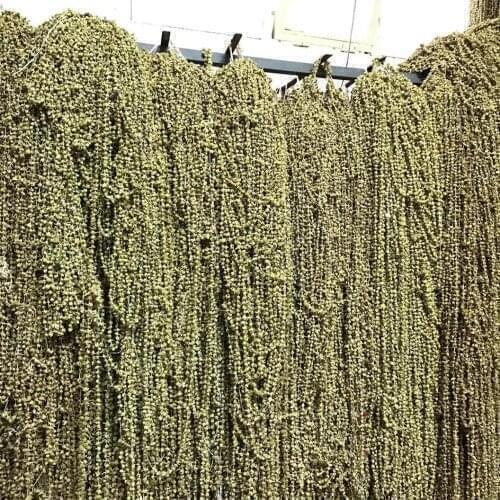 Turkısh Dried Flower Okra 100gr 250 gr 500 gr Free Shipping