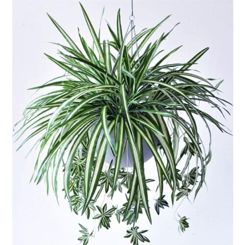 Simulation Chlorophytum Artificial Plastic Plants Chlorophytum Living Room Home Decor Indoor Potted Table Decoration