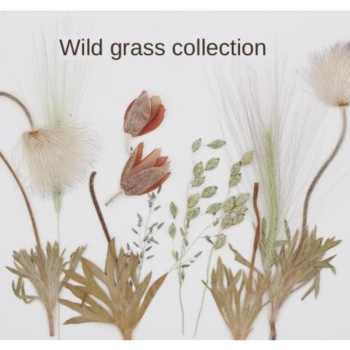 Weeds Wild Plants Embossed Flowers Childrens Bookmark Card Photo Frame Sticker DIY Handmade Flores Birthday Party Decor Adult