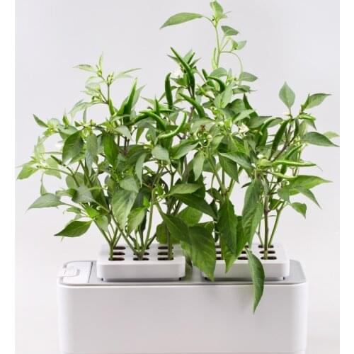 Best price decorative console table home decoration accessorie flower and plamt pot for indoor home mini garden hydroponic plant