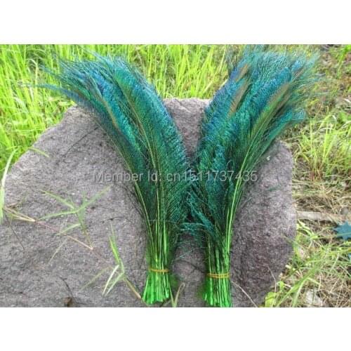 Wholesale 50pcs high quality green natural peacock feather 30-35cm / 12-14inch wedding decorative