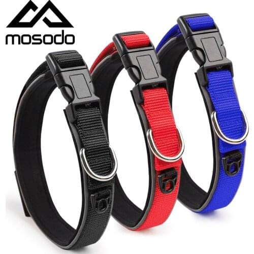 Adjustable Nylon Dog Collars Pet Collars Charm Necklace Collar For Dogs Cat Collars Pet Durable Safety Buckle Harness Necklace