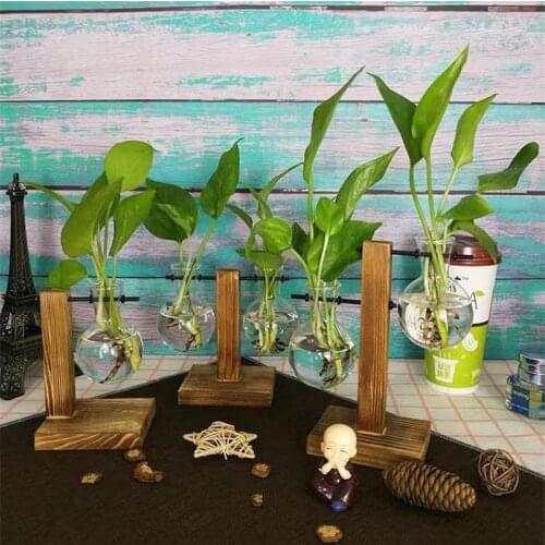 Glass and Wood Vase Planter Terrarium Table Desktop Hydroponics Plant Bonsai Flower Pot Hanging Pots with Wooden Tray Home Decor