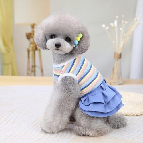Puppy Clothes Pet Clothes Dress Cartoon Teddy Schnauzer Pugs Small and Medium-sized Dogs Color Striped Pleated Skirt Dog Dress