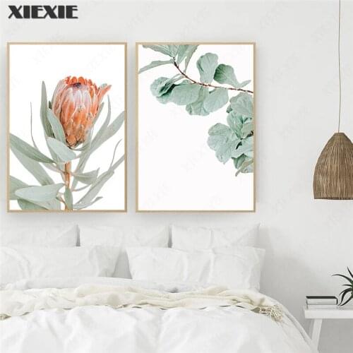 Australia Plants Leaf King Protea Flowers Wall Art Pictures Canvas Paintings Posters and Prints for Living Room Home Decoration