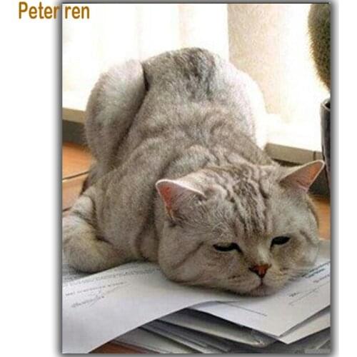 Peter ren Diy diamond painting Diamond Embroidery cat sleeps in a book crystal Resin square Diamond Mosaic Paste full needlework