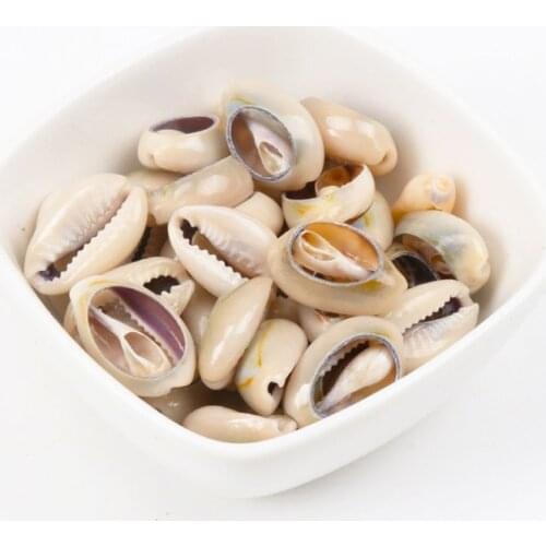 Natural White Grey Shell Loose Beads For Decoration Jewelry Making DIY Accessories Under about 10-23mm about 50pcs