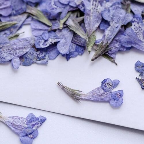 Assorted Larkspur / Leaf / Chrysanthemum Blue And Pink Flower Dried Flower Arrangements DIY Phone Case free shipment 2 bags