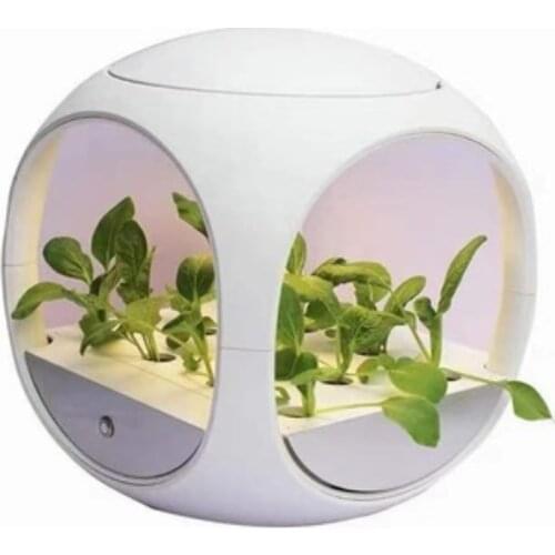 Creative mini smart garden for plants indoor Smart garden hydroponic flower planter Home Garden Flower Pots with Led Light