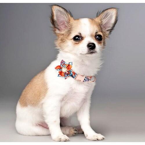 Dog Collar With Detachable Flower Personalized Pet Collar Engraved Nameplate For Small Medium Large Dogs Collar Floral Patter #P