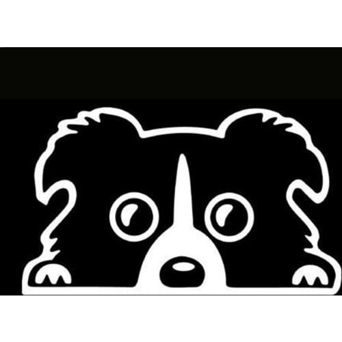 Funny Border Collie DOG Car Styling Vinyl Car Stickers Decal Car Window Window Bodywork Vinyl Car Interior KK14*8cm
