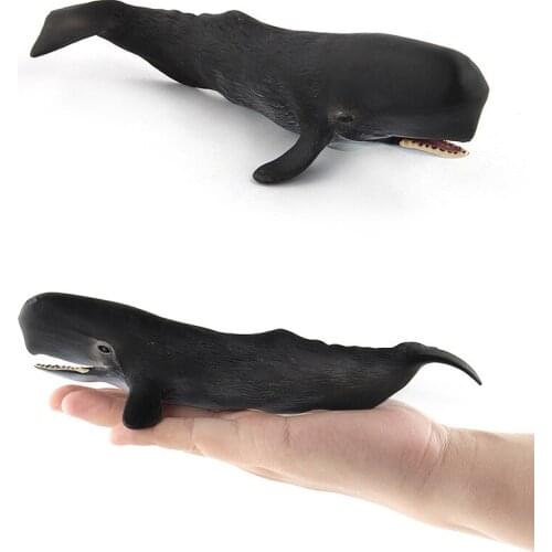 1pc 20.5CM Ocean Sea Life Simulation Animal Model WHALE Sperm Whale Action Toys Figures Kids Educational Collection gifts