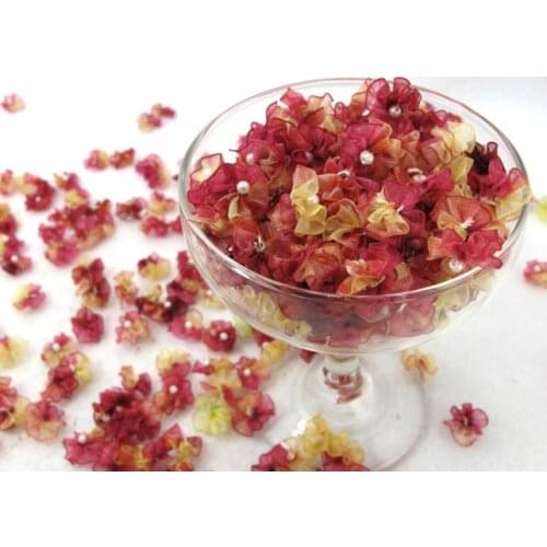 50 Pieces 5/8 Inch Chiffon Ombre Fan Shape Pearl Center Flowers|Burgundy and Yellow Ombre|Flower Applique Decoration|Floral