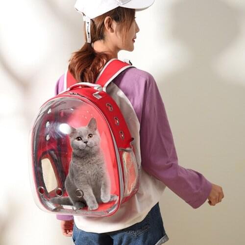 Portable Pet Carrier Bag Breathable Cat Bag Outdoor Travel Backpack for Cat and Dog Transparent Space Pet Backpack Bag