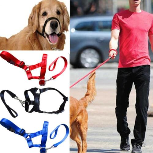 Training Puppy Head Collar Halter Pet Mouth Traction Set Dog Muzzle Strap S-XXL