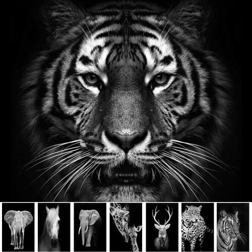 Wild Animal Giraffe Zebra Lion Wall Art Elephant Horse Poster Black White Canvas Painting Decorative Picture Home Decor Art