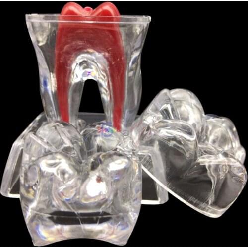 1pcs Dental Crystal Base Hard Plastic Teeth Tooth Molar Model Separable