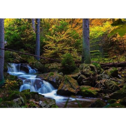 Forest Jungle Steam Wedding Vinyl Cloth Photography Backgrounds Portrait Photographic Backdrops Photo Studio Children Photobooth