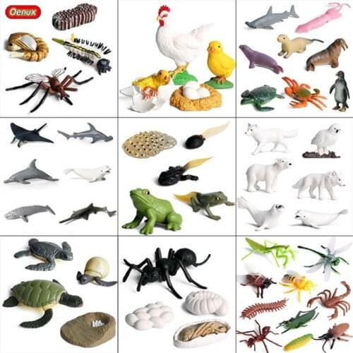 Oenux Sealife Animals Crab Shark Action Figures Simulation Insect Hen Horse Turtle Frog Growth Cycle Model Toys For Kids Gift